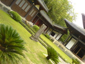 06 - 16 June 2007 - Wuyi Shan Day 1 (31)
