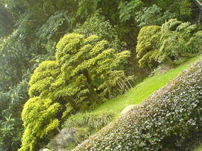 06 - 16 June 2007 - Wuyi Shan Day 1 (34)