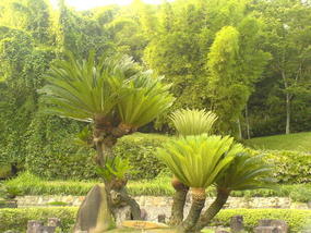06 - 16 June 2007 - Wuyi Shan Day 1 (38)