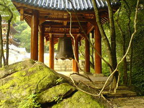 06 - 16 June 2007 - Wuyi Shan Day 1 (43)