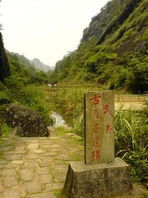 Wuyi Shan Day 2 (12)