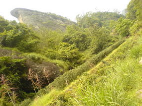 Wuyi Shan Day 2 (13)
