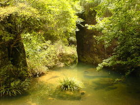 Wuyi Shan Day 2 (16)