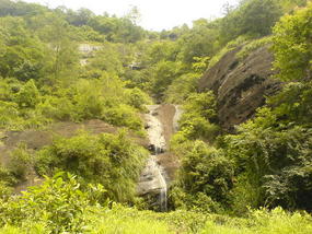 Wuyi Shan Day 2 (17)
