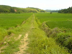 The Long Way Home (17)
