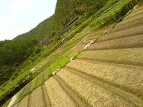 The Long Way Home (1)