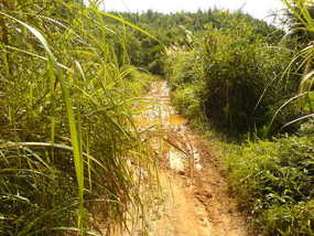 The Long Way Home (22)