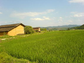 The Long Way Home (26)