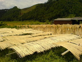 The Long Way Home (2)