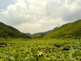 The Long Way Home (6)