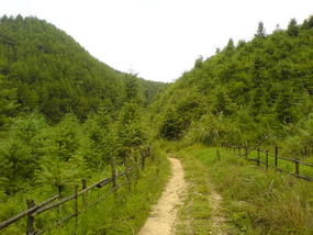 The Long Way Home (7)