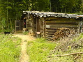 The Long Way Home (8)