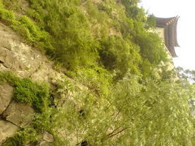 The Longmen Caves (32)