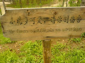 The Shaolin Monastery N Song Shan (1)