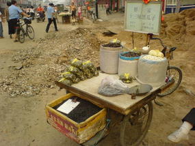 Kaifeng - City Walk (4)