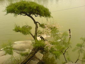 Kaifeng - Dragon Pavilion Park (11)