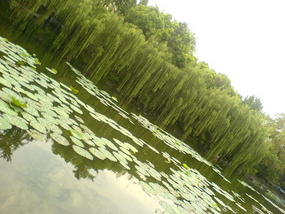 Hefei - City & Gardens Walk (10)