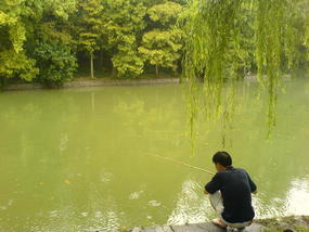 Hefei - City & Gardens Walk (1)