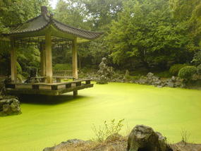 Hefei - City & Gardens Walk (2)
