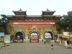 Nanjing City Walk (5)