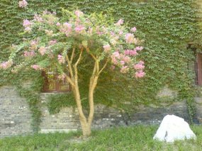 Yangzhou - He Gardens