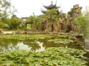 Yangzhou - Slender West Lake & Bonsai 14
