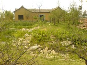 Yangzhou - Slender West Lake & Bonsai 17