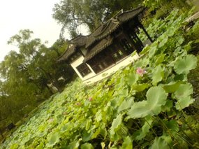 Yangzhou - Slender West Lake & Bonsai 21