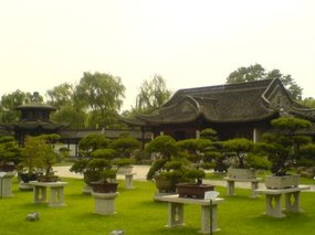 Yangzhou - Slender West Lake & Bonsai 22