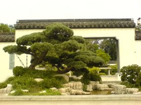 Yangzhou - Slender West Lake & Bonsai 25