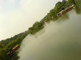 Yangzhou - Slender West Lake & Bonsai 5