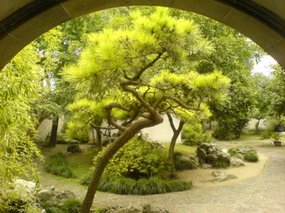 Suzhou - East & Lovers Gardens 10
