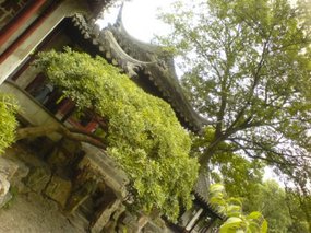 Suzhou - East & Lovers Gardens 7