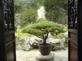 Suzhou - The Garden for Lingering In