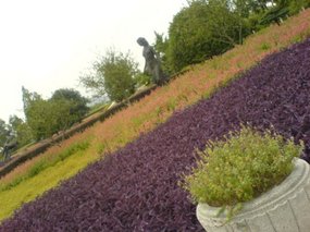 Hangzhou - West Lake Gardens Walk 18
