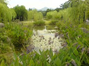 Hangzhou - West Lake Gardens Walk 25