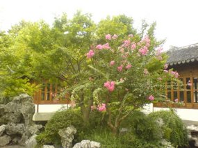 Hangzhou - West Lake Gardens Walk 28