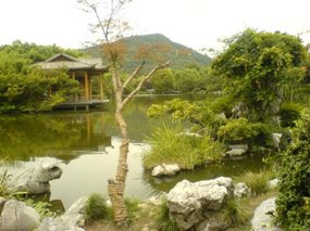 Hangzhou - West Lake Gardens Walk 4