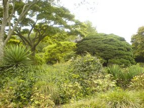 Hangzhou - West Lake Gardens Walk 5