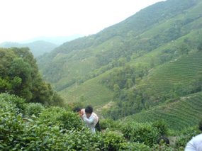 Hangzhou City - A Day On A Mountain 10