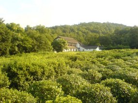 Hangzhou City - A Day On A Mountain 8