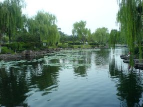 Ningbo City 1