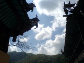 Temple N Village Lunch 11