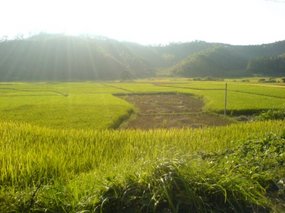 The Great Autumn Rice Harvest Ride 11