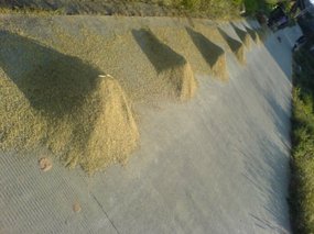 The Great Autumn Rice Harvest Ride 16
