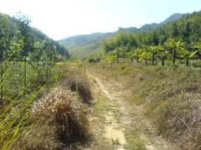 The Great Autumn Rice Harvest Ride 21