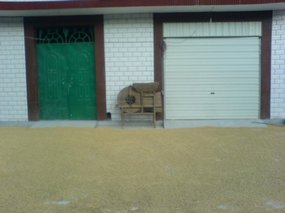 The Great Autumn Rice Harvest Ride 24