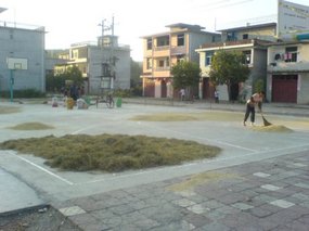 The Great Autumn Rice Harvest Ride 27