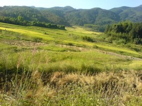 The Great Autumn Rice Harvest Ride 5