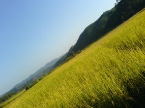 The Great Autumn Rice Harvest Ride 8